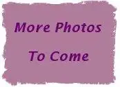 Second view of Homely house listing, 38 South St, Urangan QLD 4655
