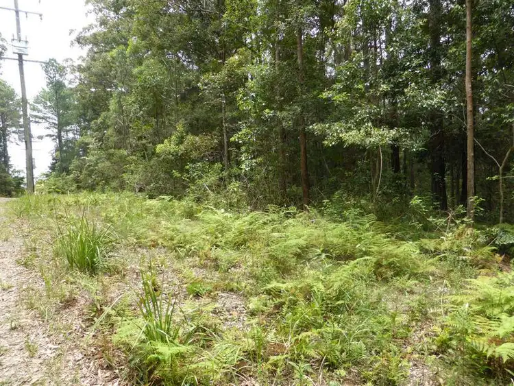 Fifth view of Homely land listing, 1935 Springbrook Road, Springbrook QLD 4213