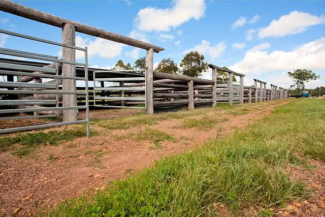 Seventh view of Homely rural property listing, 23 Jensen Road, Yengarie QLD 4650