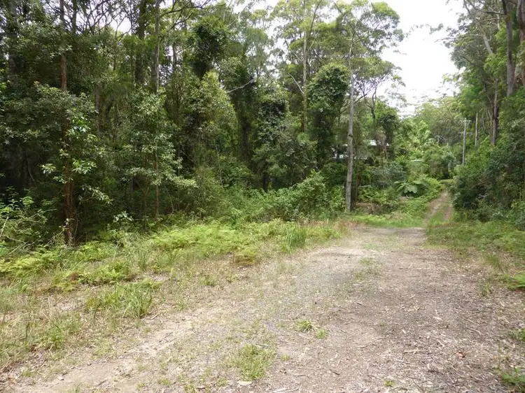 Second view of Homely land listing, 1935 Springbrook Road, Springbrook QLD 4213