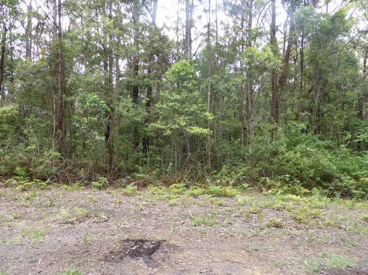 Second view of Homely land listing, 1939 Springbrook Road, Springbrook QLD 4213
