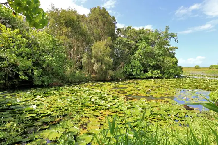 Fourth view of Homely rural property listing, 85 Rubyanna Road, Rubyanna QLD 4670