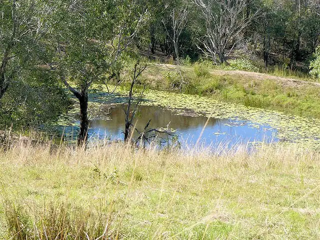 Fourth view of Homely rural property listing, 62 Upper Bowling Green Road, Aramara QLD 4620