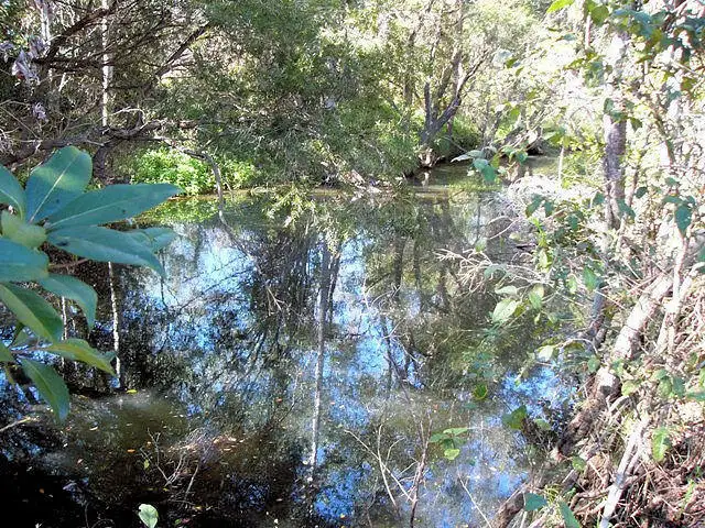 Sixth view of Homely rural property listing, 62 Upper Bowling Green Road, Aramara QLD 4620