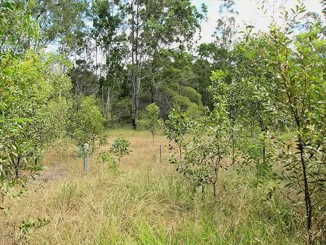 Second view of Homely land listing, 1096 Maryborough Biggenden Road, Oakhurst QLD 4650