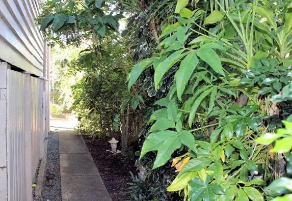 Seventh view of Homely house listing, 6 Nuneaton Street, Maryborough QLD 4650