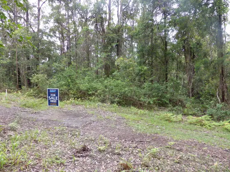 Third view of Homely land listing, 1939 Springbrook Road, Springbrook QLD 4213