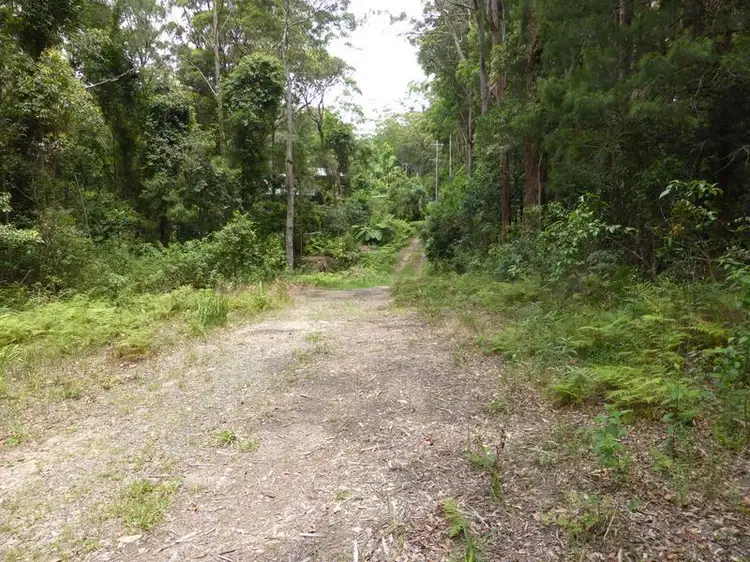 Fourth view of Homely land listing, 1935 Springbrook Road, Springbrook QLD 4213