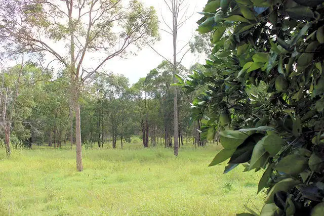 Third view of Homely land listing, 141 Central Road, Tinana QLD 4650
