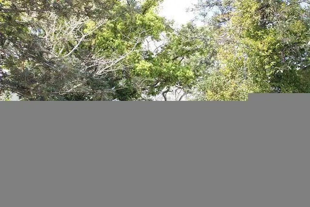 Second view of Homely house listing, 50 Mayne Street, Tiaro QLD 4650