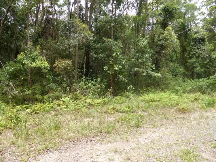 Main view of Homely land listing, 1935 Springbrook Road, Springbrook QLD 4213