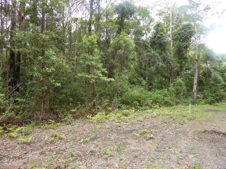 Main view of Homely land listing, 1939 Springbrook Road, Springbrook QLD 4213