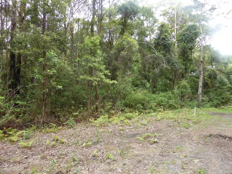 Main view of Homely land listing, 1939 Springbrook Road, Springbrook QLD 4213