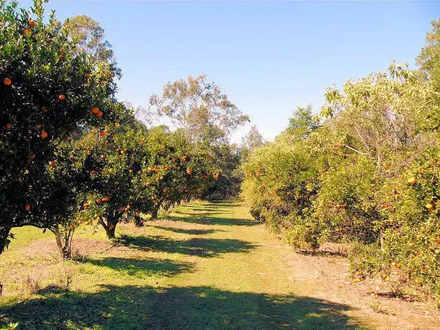 Seventh view of Homely rural property listing, 62 Upper Bowling Green Road, Aramara QLD 4620