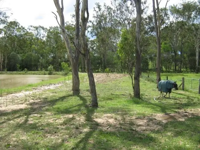 Second view of Homely rural property listing, 56 Sheppard Avenue, Bucca QLD 4670