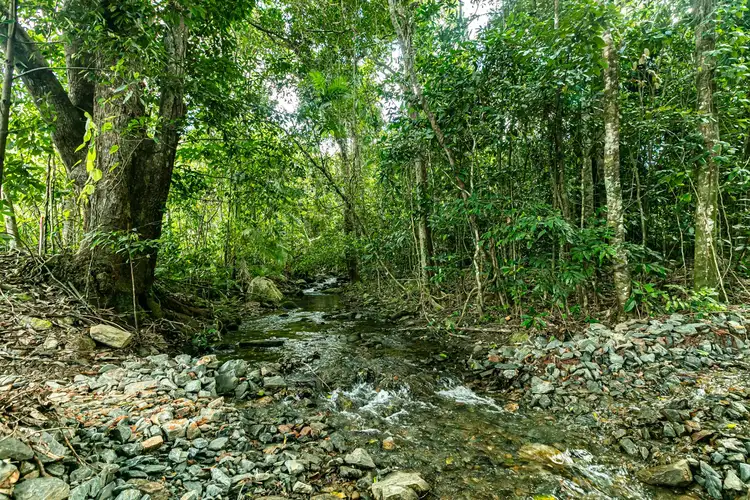 Second view of Homely land listing, 10 Salacia Ct, Mount Sheridan QLD 4868