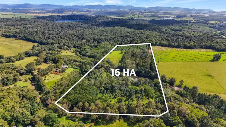 239 Winfield Road, Lake Eacham QLD 4884