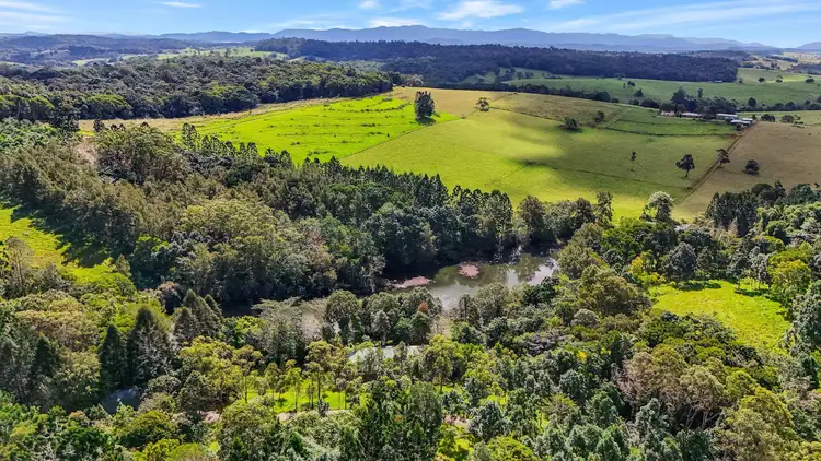 Third view of Homely rural property listing, 239 Winfield Road, Lake Eacham QLD 4884