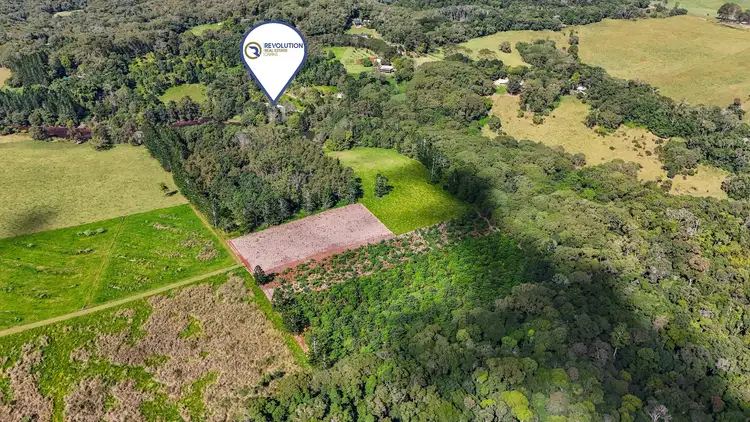 Fourth view of Homely rural property listing, 239 Winfield Road, Lake Eacham QLD 4884