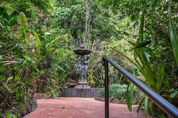 Sixth view of Homely rural property listing, 239 Winfield Road, Lake Eacham QLD 4884