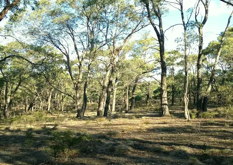 LOT 6 Grampians View Road, Beaufort VIC 3373