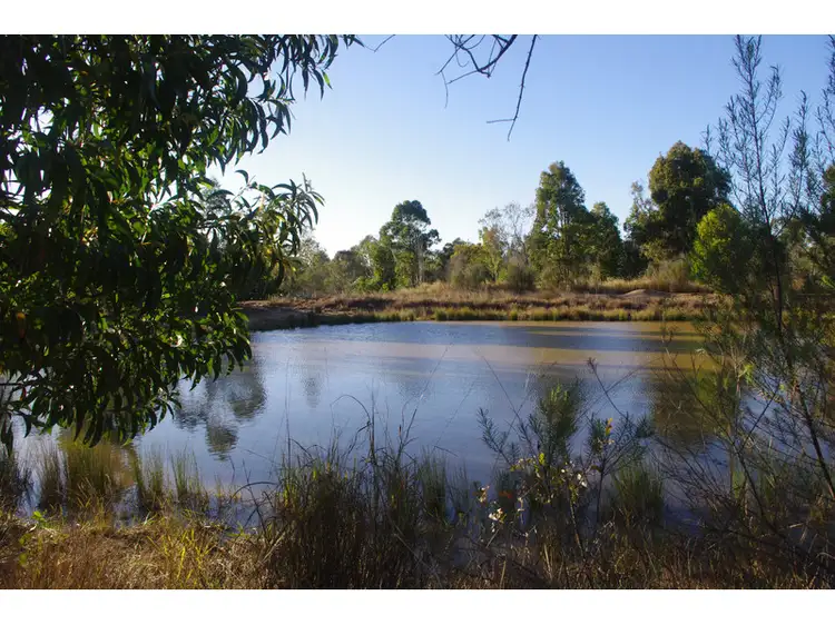 Third view of Homely rural property listing, 142 Brigalow Street, Placid Hills QLD 4343