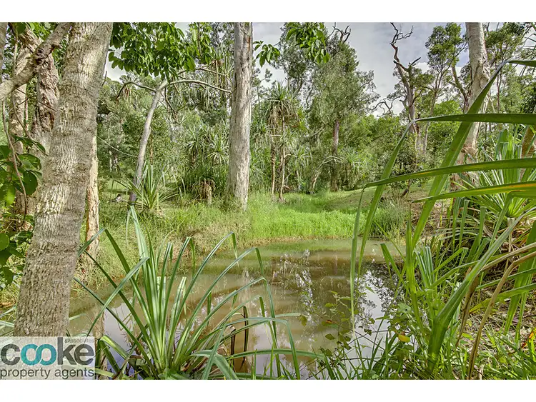 Seventh view of Homely rural property listing, 122 Arnolds Road, Byfield QLD 4703