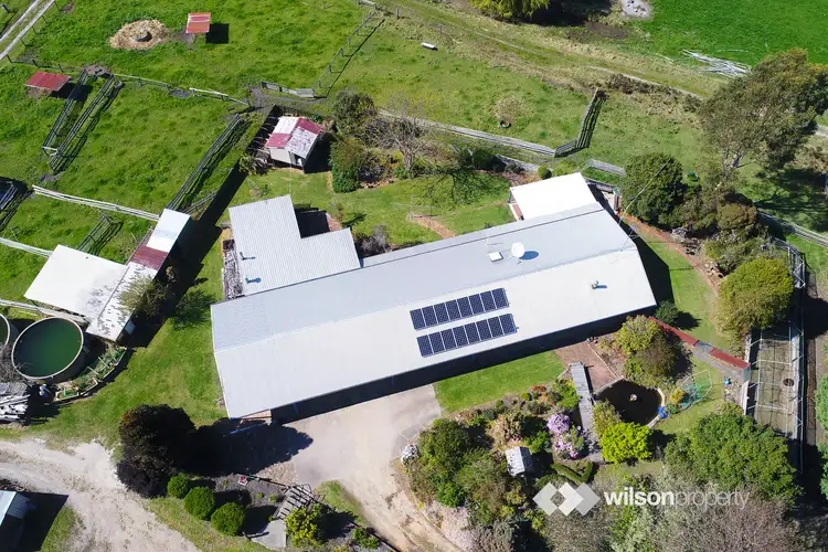 Sixth view of Homely rural property listing, 4493 Hyland Highway, Won Wron VIC 3971