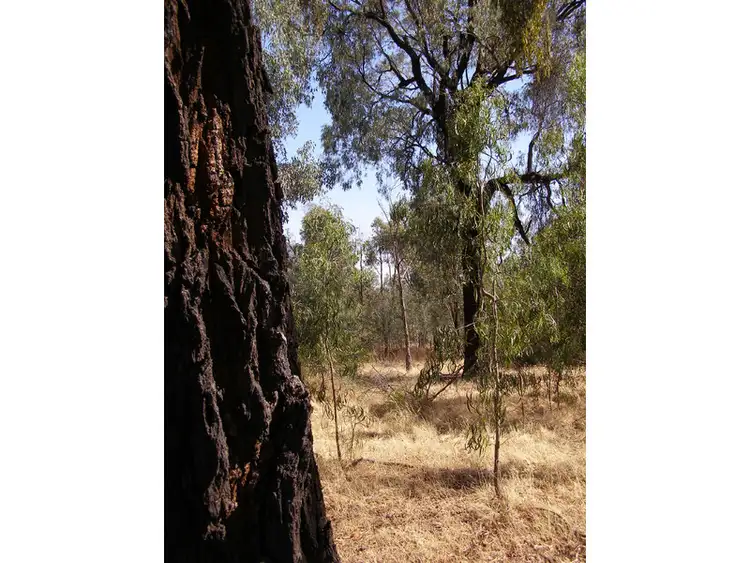 Seventh view of Homely rural property listing, 1 Asbury Road, Lurg VIC 3673
