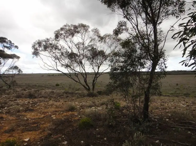 Fifth view of Homely rural property listing, Section 178 Halfway House Road, Sedan SA 5353