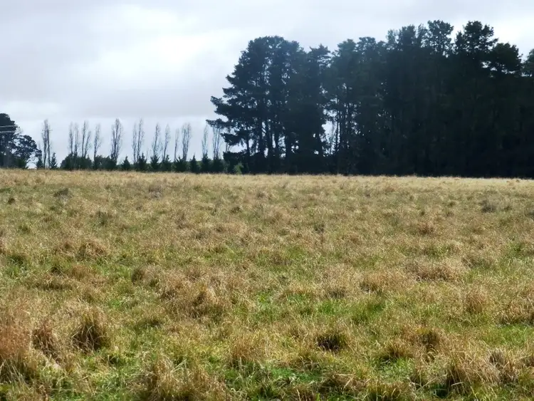 Second view of Homely rural property listing, 1083 Forest Road, Orange NSW 2800