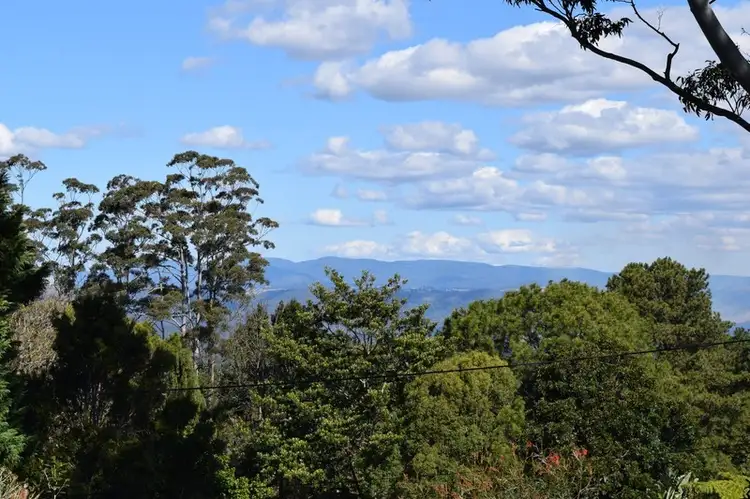 Main view of Homely house listing, 60 JENYNS Road, Tamborine Mountain QLD 4272