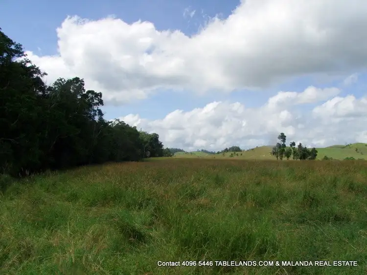 Sixth view of Homely rural property listing, F1143 Lot 549 Maalan Road, Millaa Millaa QLD 4886