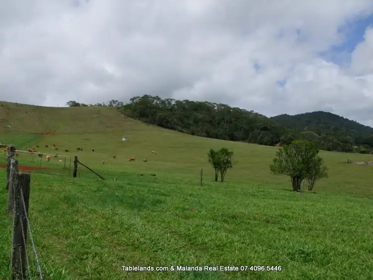 Fourth view of Homely rural property listing, F307/1015 Maalan Road, Millaa Millaa QLD 4886