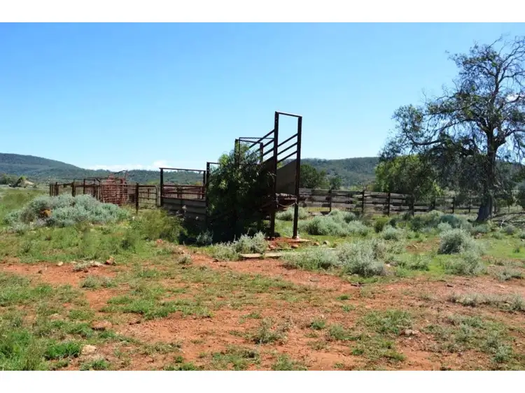 Seventh view of Homely rural property listing, 8299 Oxley Highway, Gunnedah NSW 2380