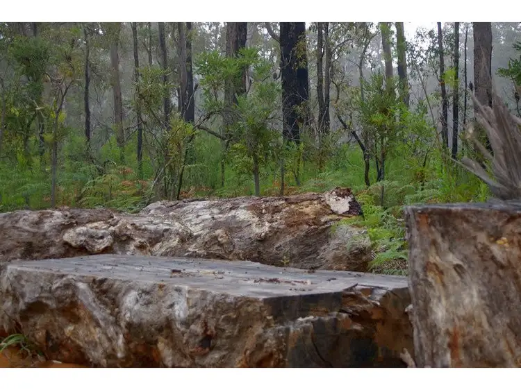Seventh view of Homely land listing, 13 Orchid Place, Nannup WA 6275