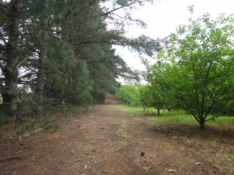 Sixth view of Homely rural property listing, 718 Swamp Road, Lenswood SA 5240