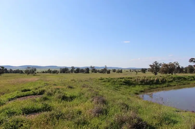LOT 12 Mount Tallabung Road, Forbes NSW 2871