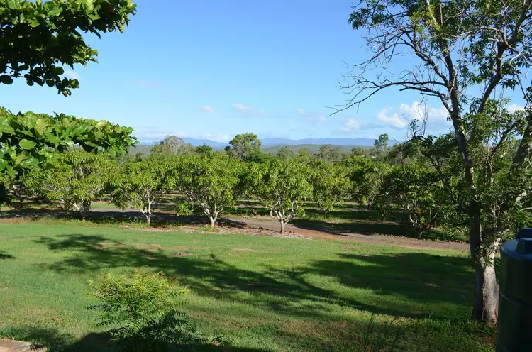 Second view of Homely land listing, 41 Cypress Road, Biboohra QLD 4880