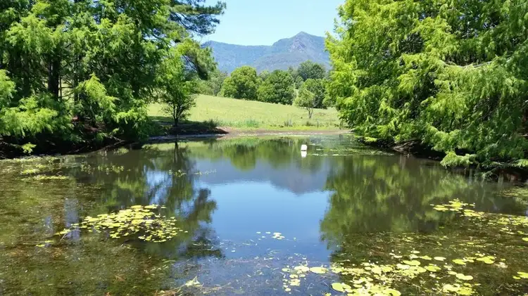 Third view of Homely rural property listing, 191 Pinnacle Road, Tyalgum NSW 2484