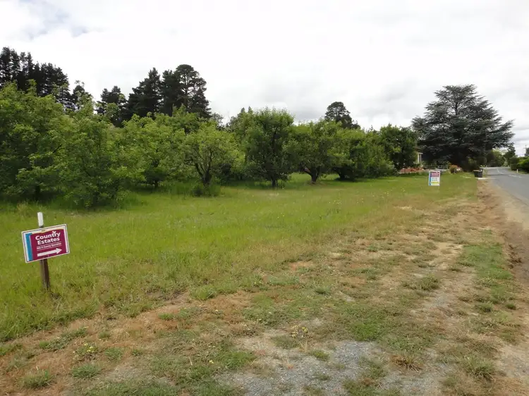 Second view of Homely rural property listing, 718 Swamp Road, Lenswood SA 5240