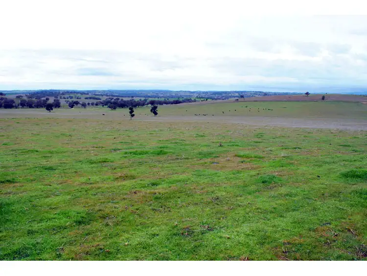 Seventh view of Homely rural property listing, 'Mackeys Spring' Coates Creek Road, Manildra NSW 2865