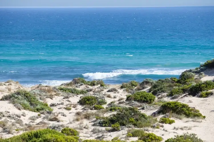 Fifth view of Homely house listing, 33 Brewster Road, Rye VIC 3941