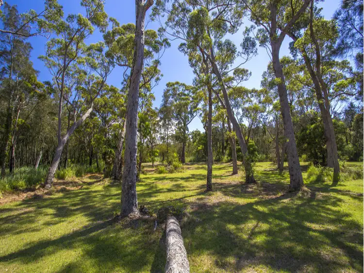 Seventh view of Homely land listing, 60 Macleay Street, Narrawallee NSW 2539