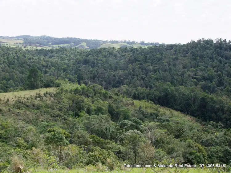 Fifth view of Homely rural property listing, LS876 Lot 436 Barter Road, Millaa Millaa QLD 4886