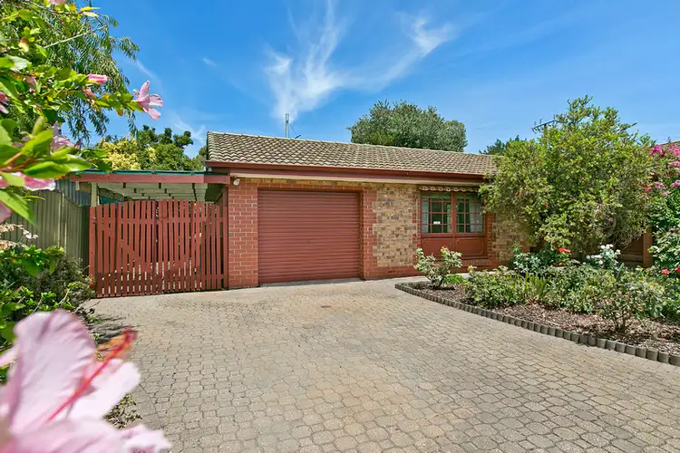 3/8 Lindsay Street, Camden Park SA 5038
