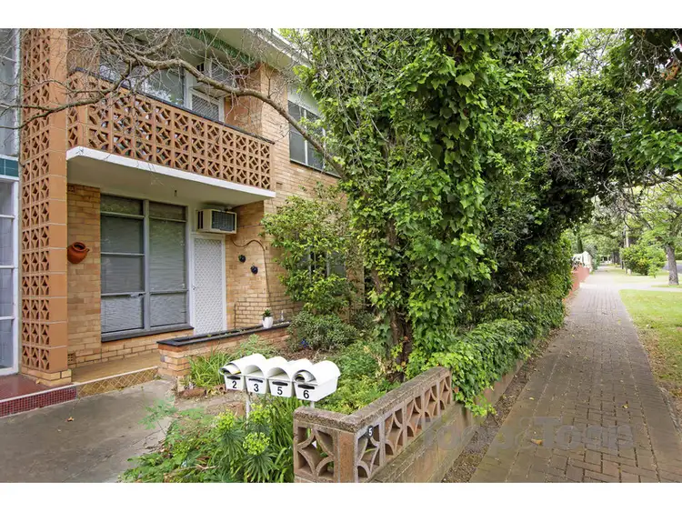 3/5 Leader Avenue, Toorak Gardens SA 5065