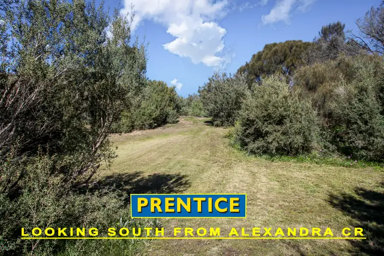 Seventh view of Homely land listing, 16 Alexandra Crescent, Rye VIC 3941