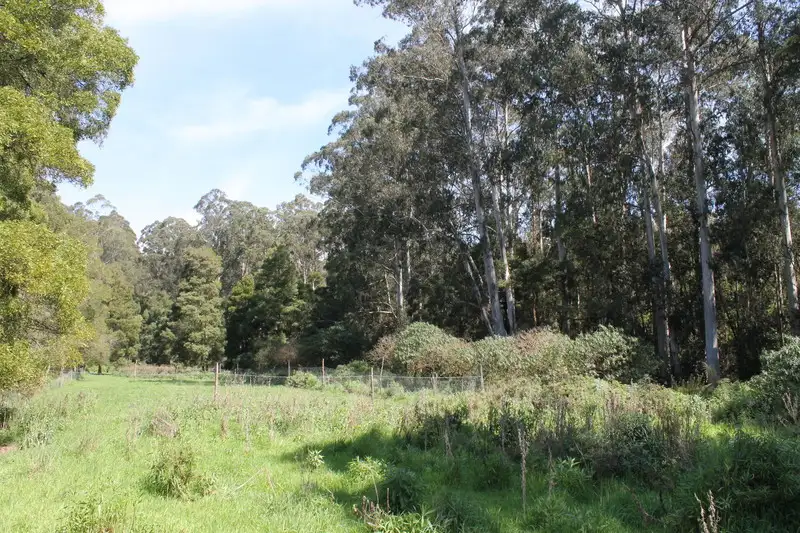 Main view of Homely rural property listing, 150 Jacksons Track, Gellibrand VIC 3239