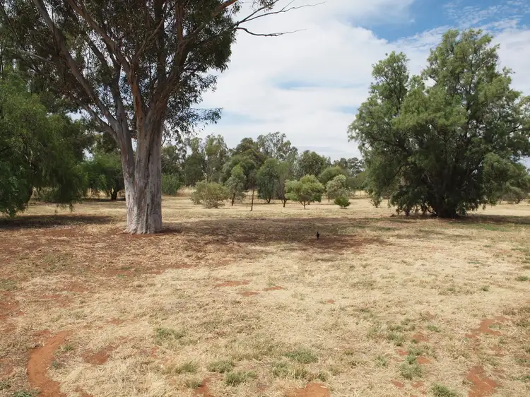 Seventh view of Homely house listing, 22 Junee Street, Grong Grong NSW 2652